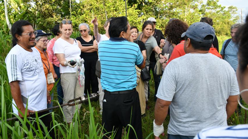 Manos Unidas ONG - Estrategia para la Panamazonía