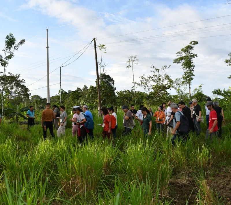 Manos Unidas ONG - Estrategia para la Panamazonía