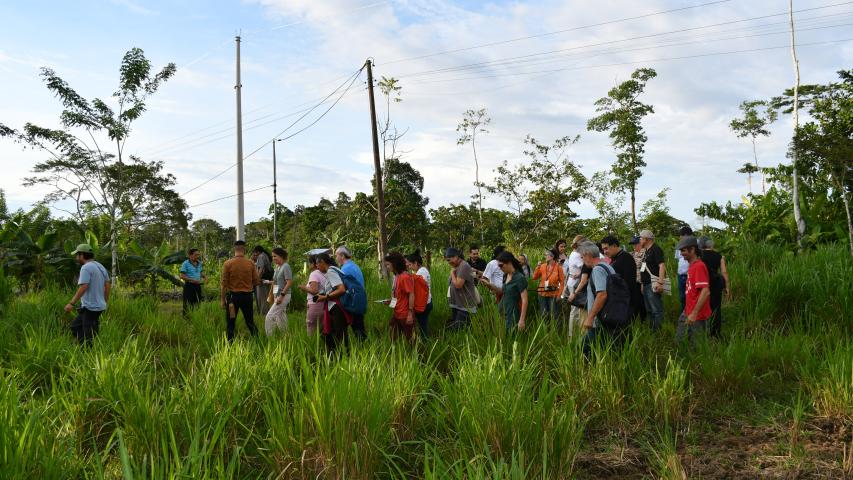 Manos Unidas ONG - Estrategia para la Panamazonía