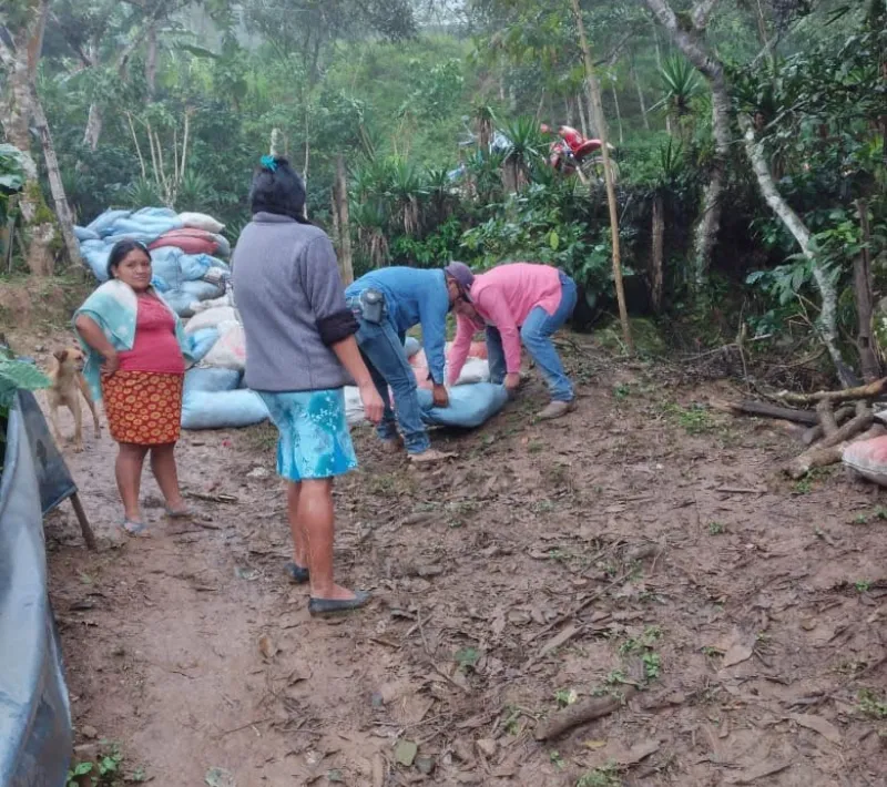 entrega pena blanca
