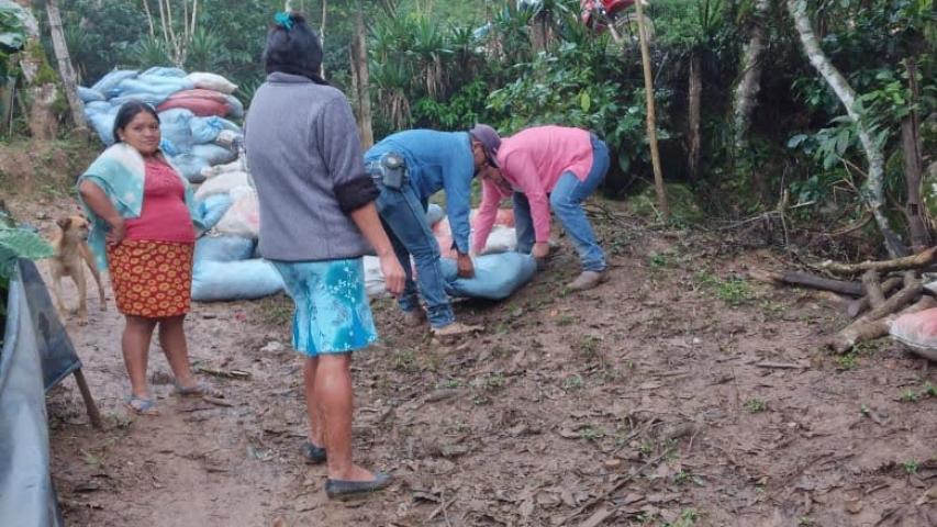 entrega pena blanca
