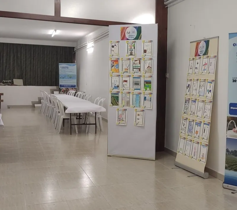 exposicio vilanova de bellpuig 3
