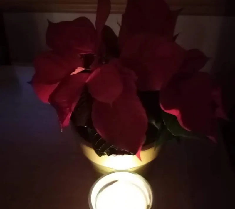 fb img 1605426721475