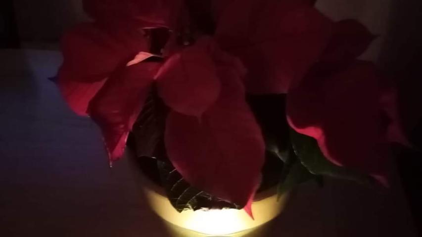 fb img 1605426721475