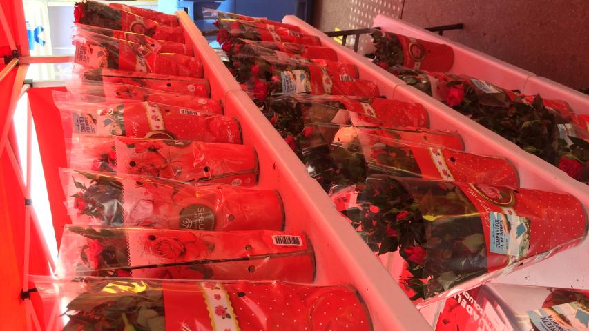 Feria de Sant Jordi, Sabadell 2018