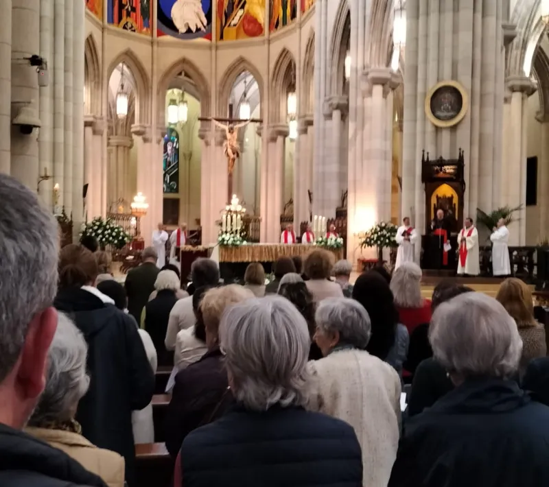 Fiesta del Apostolado Seglar 2023 en la Catedral de la Almudena