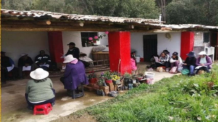 foto31 peru76476