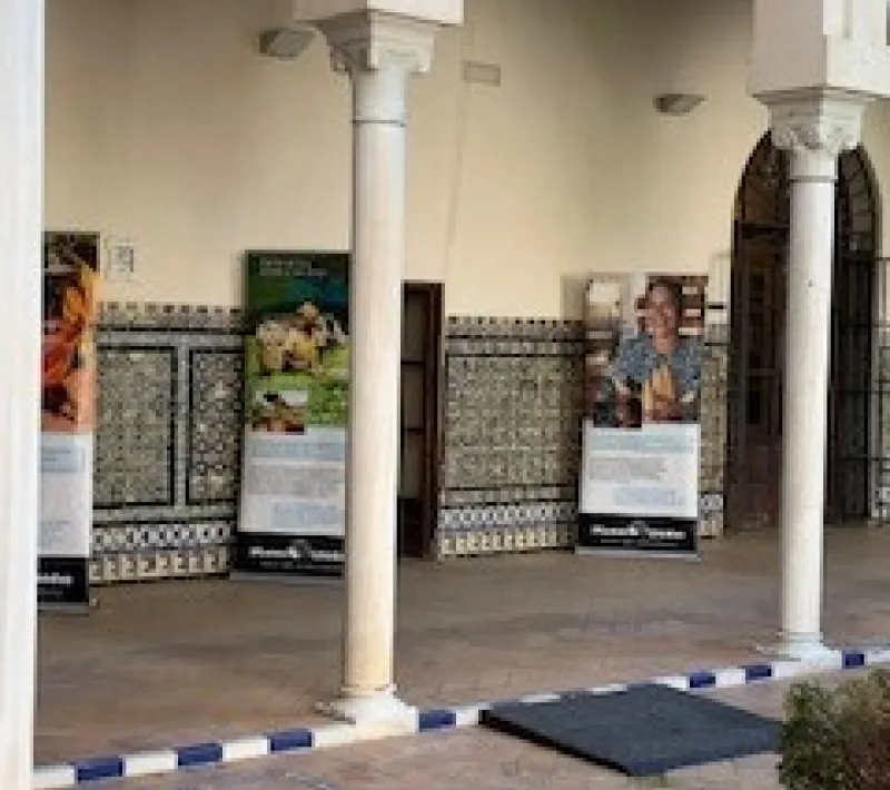 foto 16