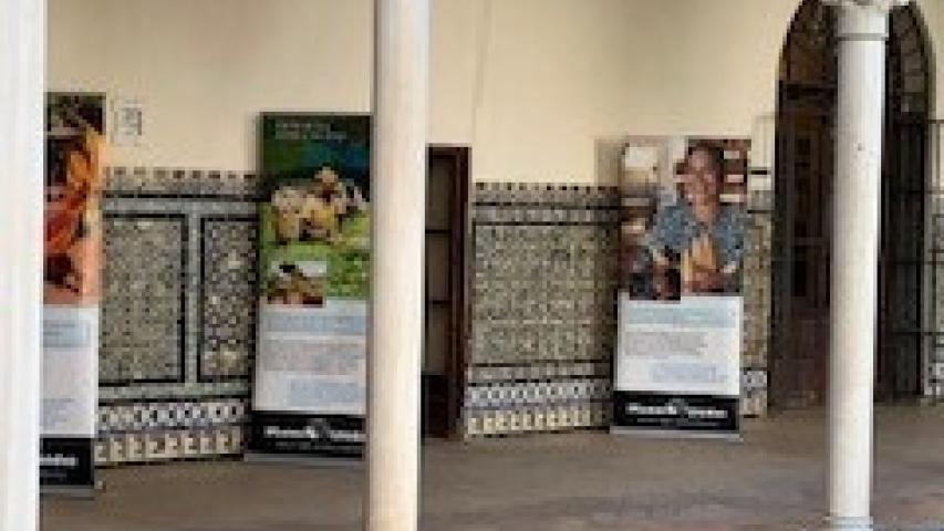 foto 16