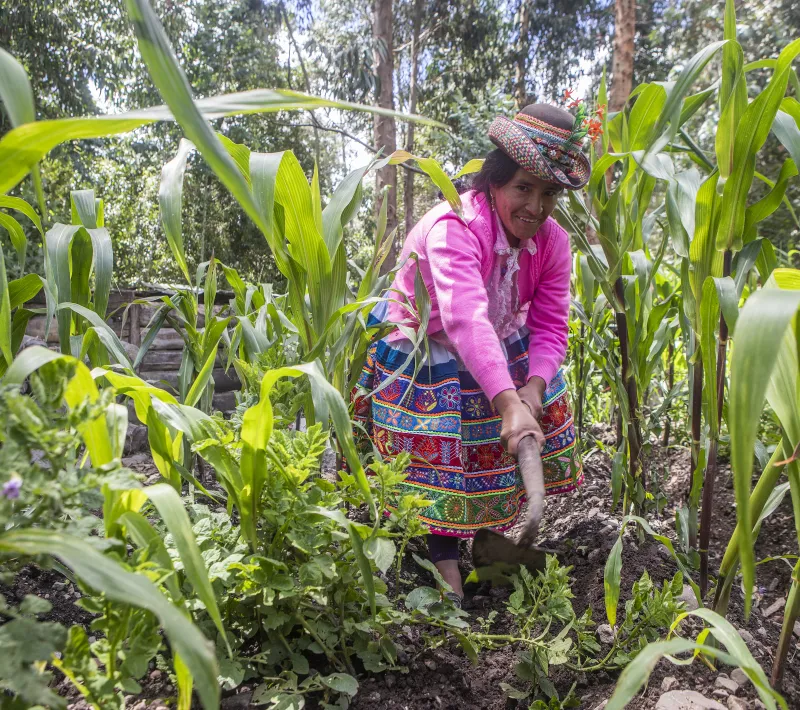 Trabajo asociación SER en Ayacucho. Foto: Ana Castañeda para Manos Unidas