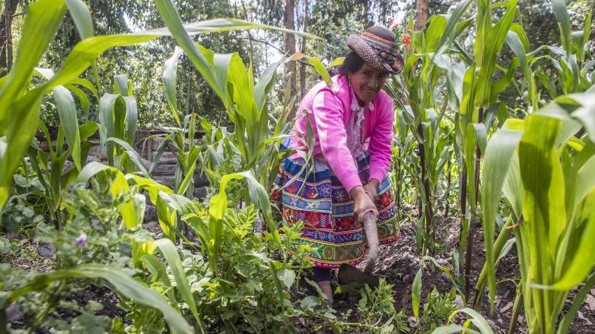Trabajo asociación SER en Ayacucho. Foto: Ana Castañeda para Manos Unidas