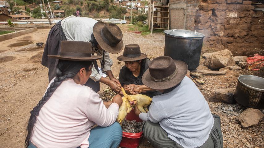 Trabajo asociación SER en Ayacucho. Foto: Ana Castañeda para Manos Unidas