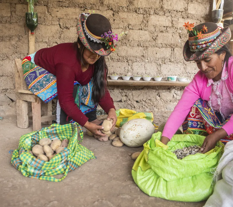 Trabajo asociación SER en Ayacucho. Foto: Ana Castañeda para Manos Unidas