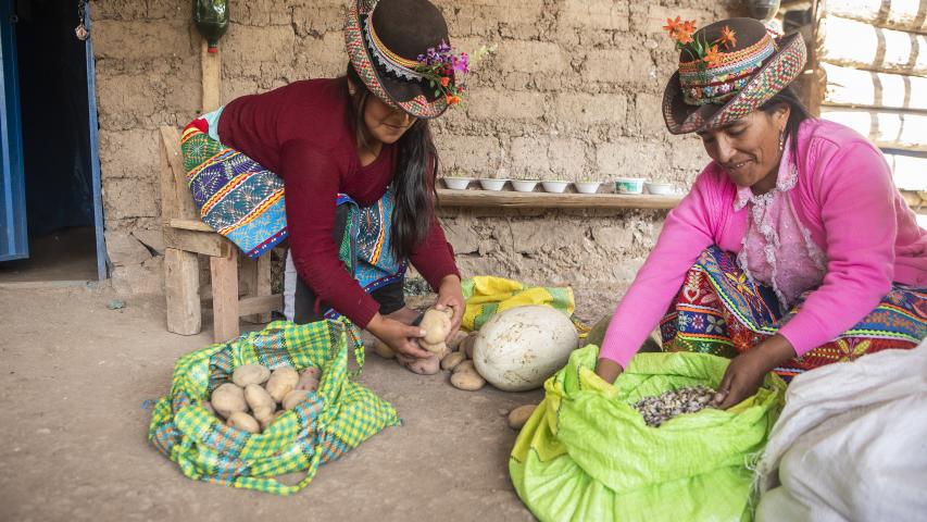 Trabajo asociación SER en Ayacucho. Foto: Ana Castañeda para Manos Unidas