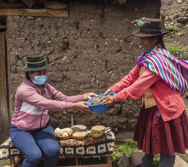 Trabajo asociación SER en Ayacucho. Foto: Ana Castañeda para Manos Unidas