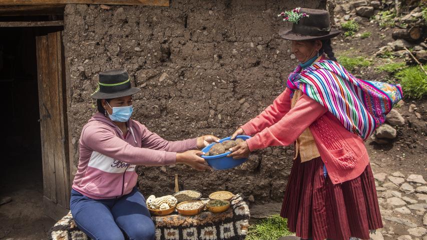 Trabajo asociación SER en Ayacucho. Foto: Ana Castañeda para Manos Unidas