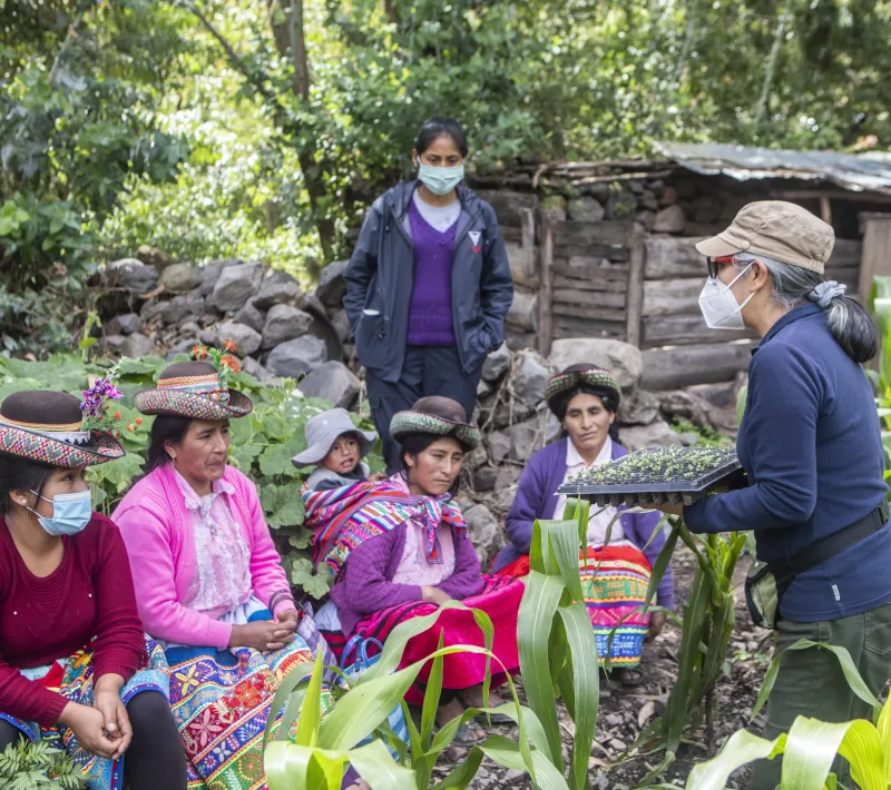 Trabajo asociación SER en Ayacucho. Foto: Ana Castañeda para Manos Unidas