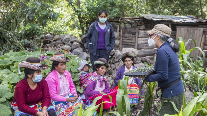 Trabajo asociación SER en Ayacucho. Foto: Ana Castañeda para Manos Unidas