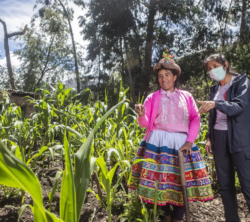 Trabajo asociación SER en Ayacucho. Foto: Ana Castañeda para Manos Unidas