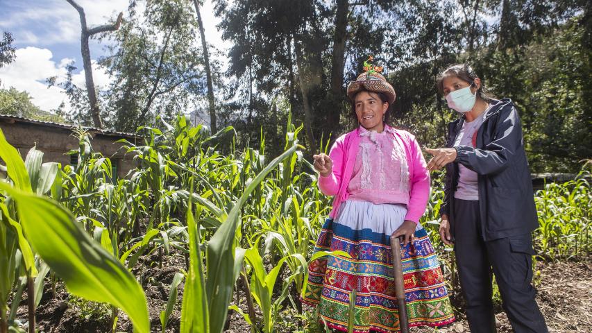 Trabajo asociación SER en Ayacucho. Foto: Ana Castañeda para Manos Unidas