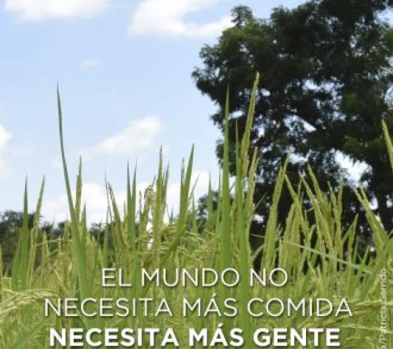 Día Medio Ambiente