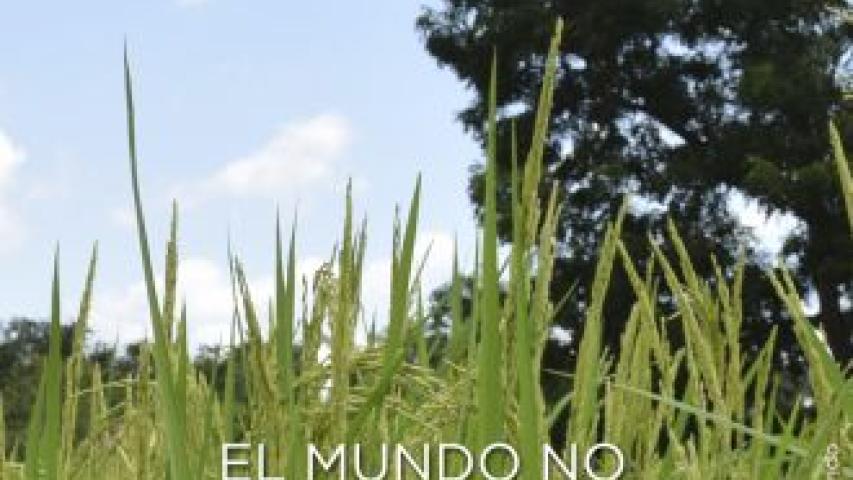 Día Medio Ambiente