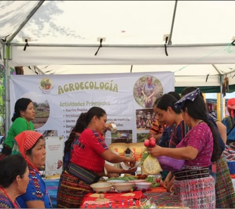 gua77610 feria agroecologia1