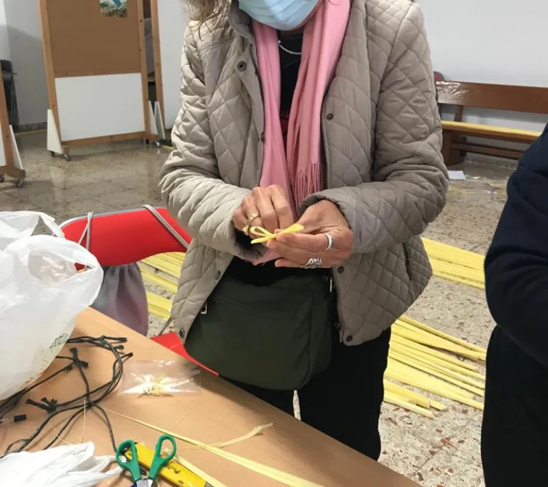 haciendo palma