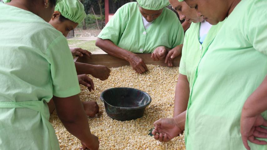 honduras martacarreno