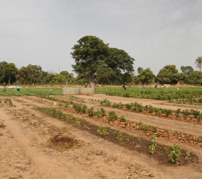 Senegal - Foto Manos Unidas
