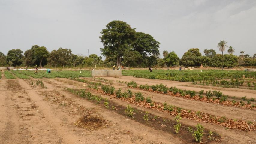 Senegal - Foto Manos Unidas