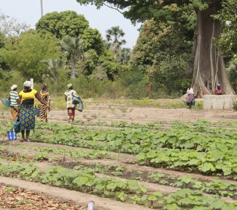 Senegal - Foto Manos Unidas