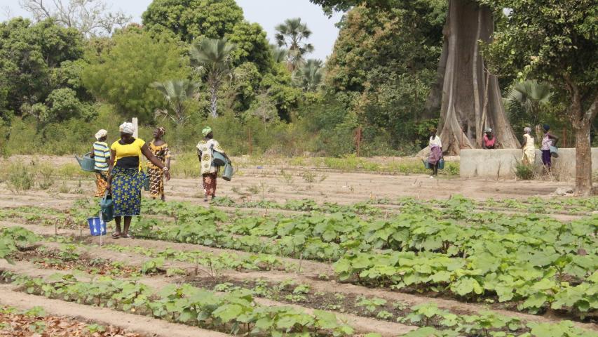 Senegal - Foto Manos Unidas