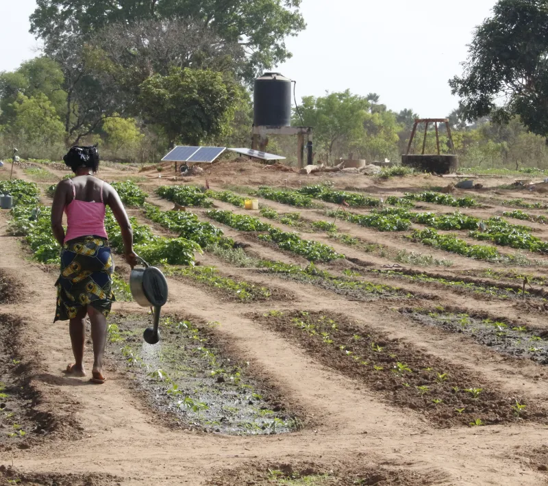 Senegal - Foto Manos Unidas