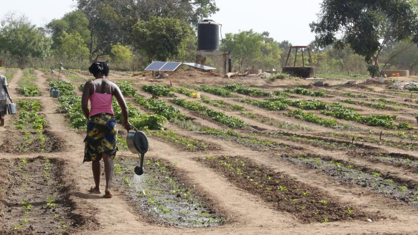 Senegal - Foto Manos Unidas