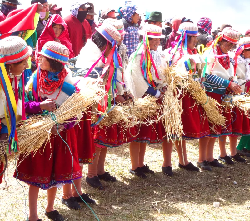 i1.r1. fiesta de la cosechacocan