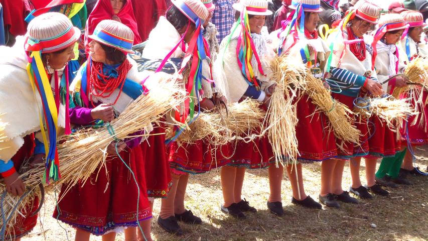 i1.r1. fiesta de la cosechacocan