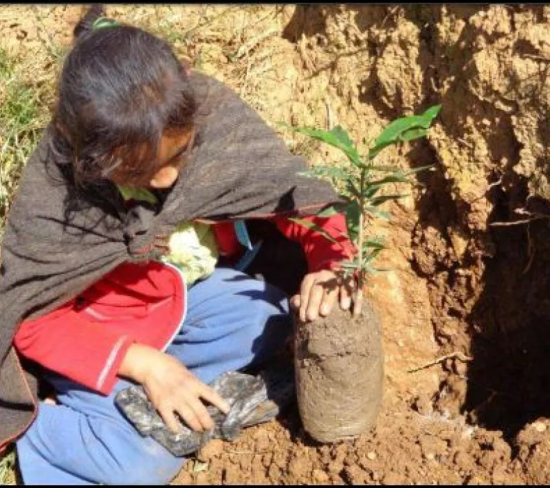 Día Mundial del Medio Ambiente 2020. Proyecto Manos Unidas en Quisqui (Perú). Foto: IDMA.