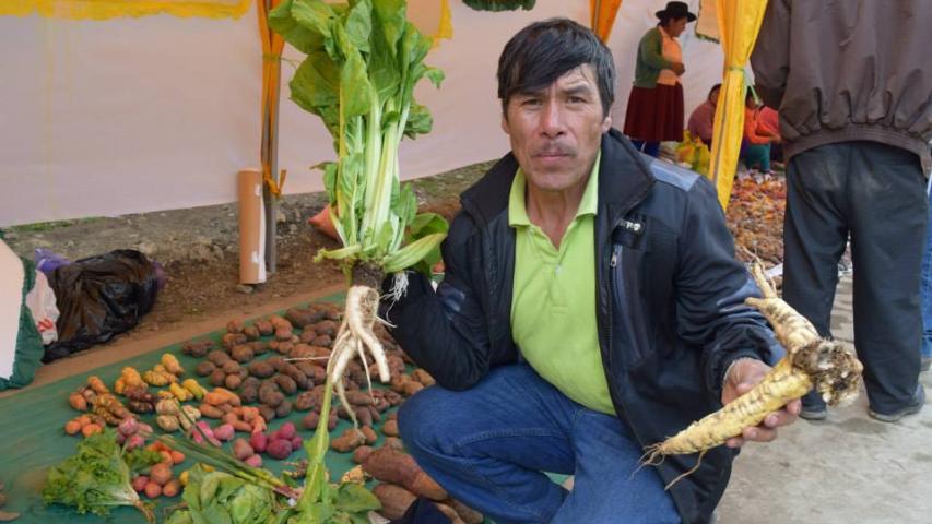 Día Mundial del Medio Ambiente 2020. Proyecto Manos Unidas en Quisqui (Perú). Foto: IDMA.