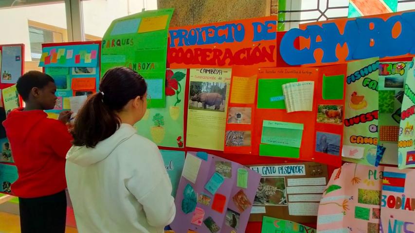 ies marques 12