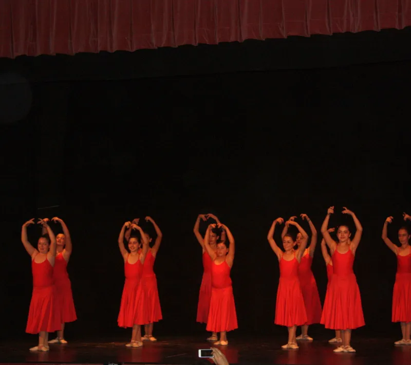 illescas festival 2014.w4