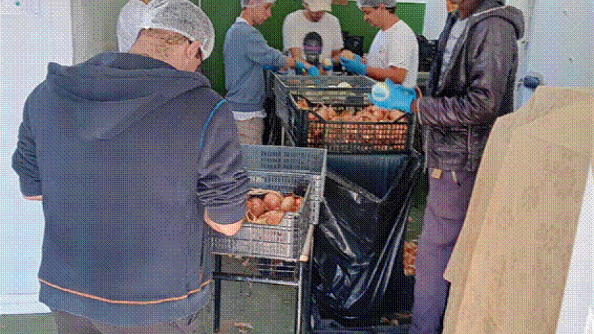 image006