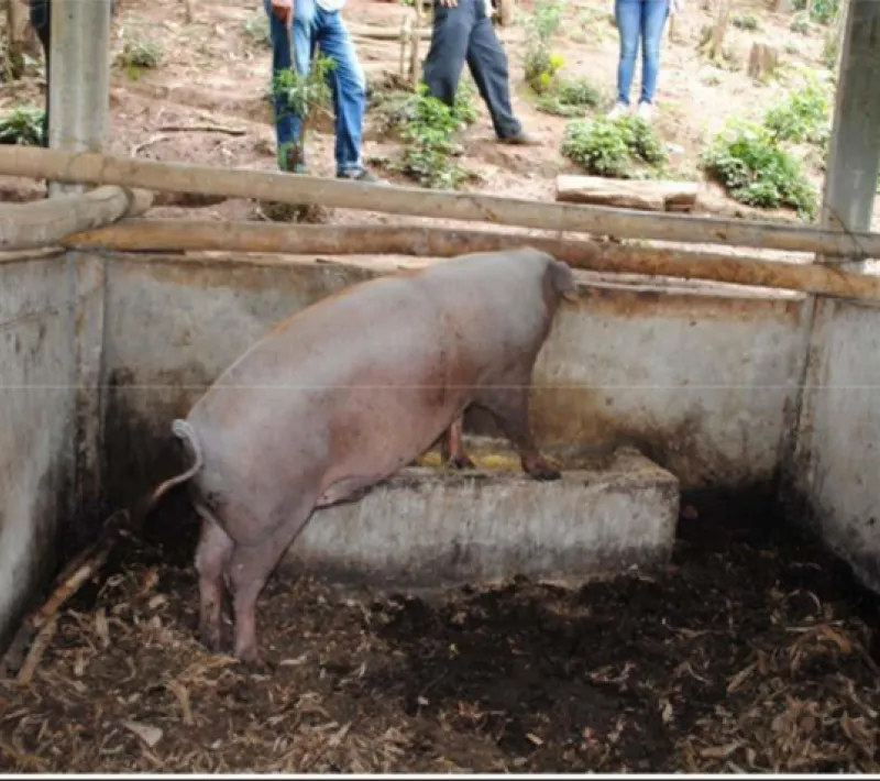 Agua potable y para riego para mejorar la producción agrícola a comunidades con altos índices de pobreza en Ecuador. Manos Unidas Valencia