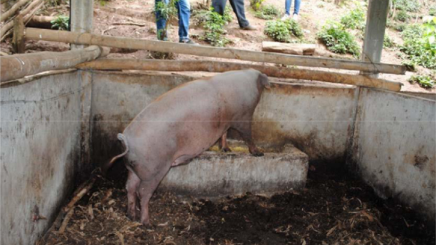 Agua potable y para riego para mejorar la producción agrícola a comunidades con altos índices de pobreza en Ecuador. Manos Unidas Valencia