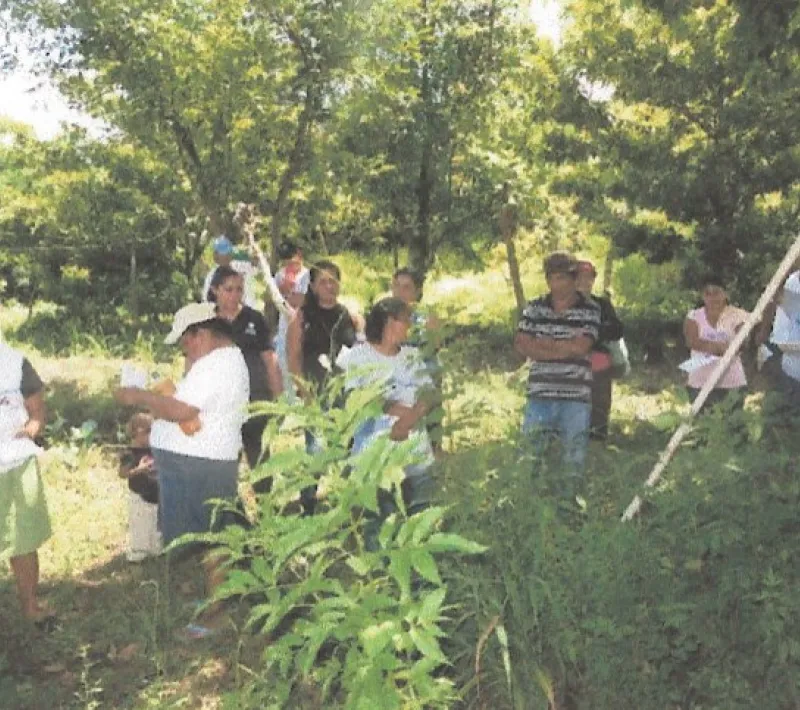 Mejora de alimentación y organización campesina. Manos Unidas Valencia