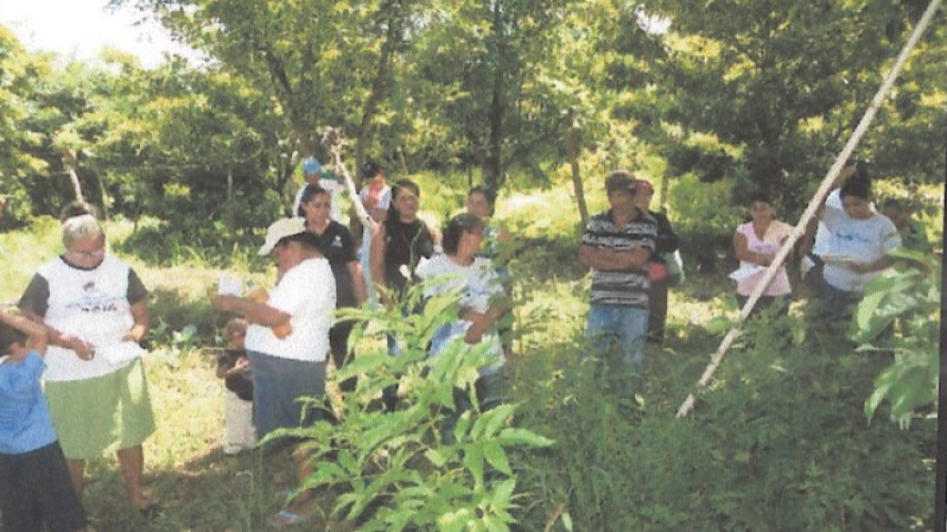 Mejora de alimentación y organización campesina. Manos Unidas Valencia