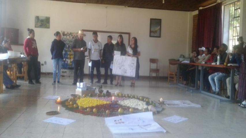 imagen14