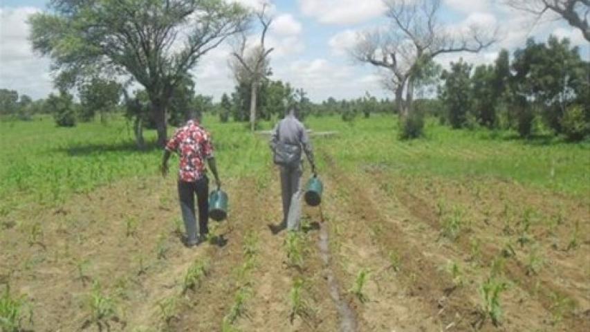 Mejora de la producción agrícola para familias pobres. Manos Unidas Valencia