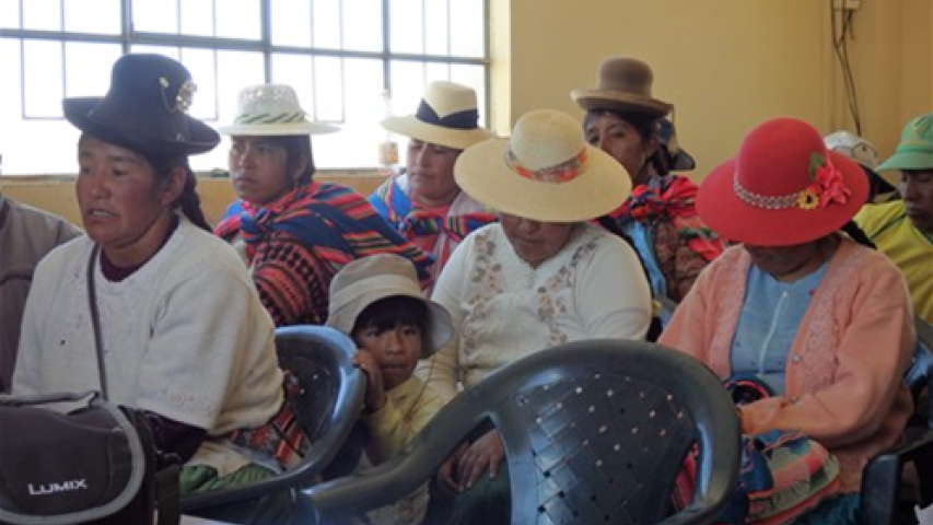 imagen1