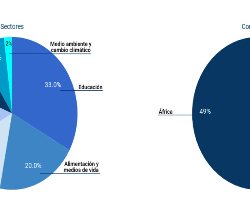 Sectores en los que Manos Unidas trabaja en tres continentes